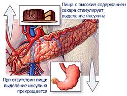 http://www.endocrinolog.ru/images/cms/data/diabet_03.jpg