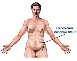 Отложения жировой ткани