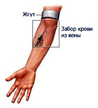 Биохимия крови